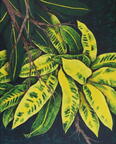 6 Panel crotos 40x50 cm