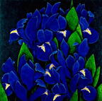 Iris