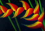 Heliconia