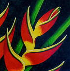 Tríptico heliconias 3 50x50 cm